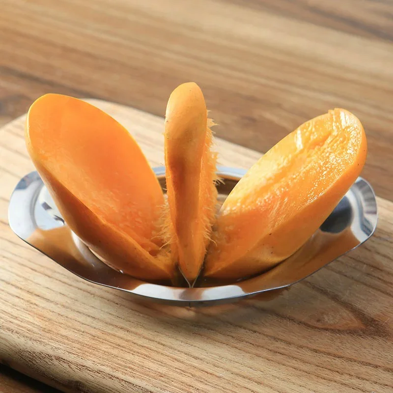 Stainless Steel Mango Cutter A - Mango Splitter Tool ulasan dan harga