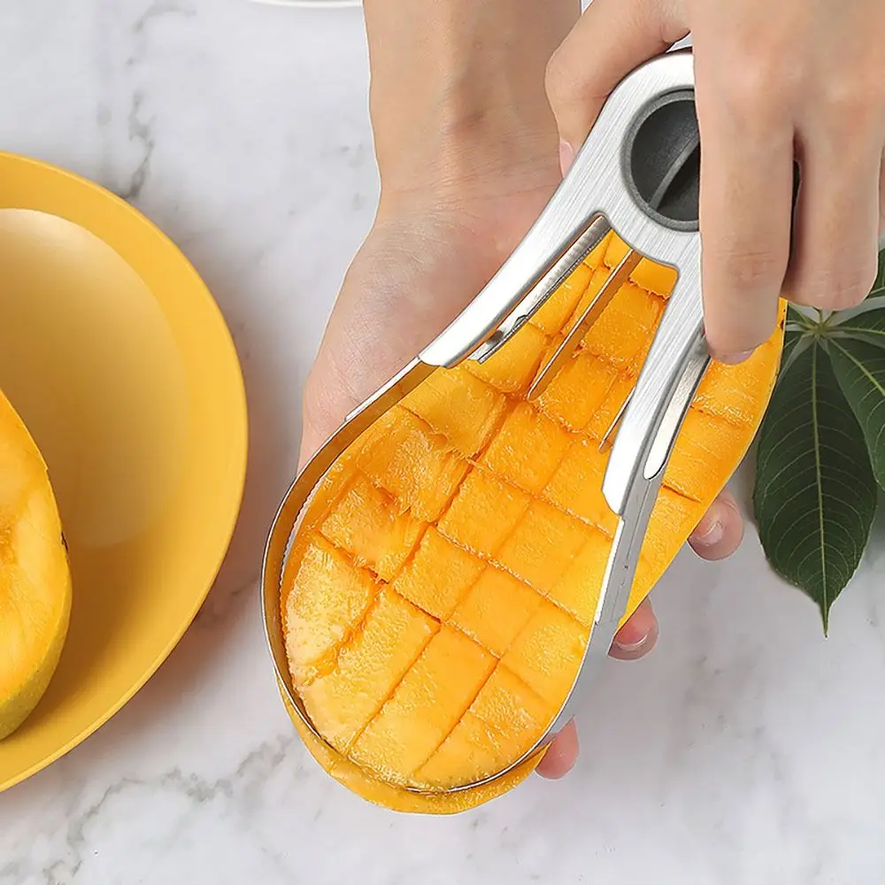 Stainless Steel Mango Cutter S - Mango Splitter Tool ulasan dan harga