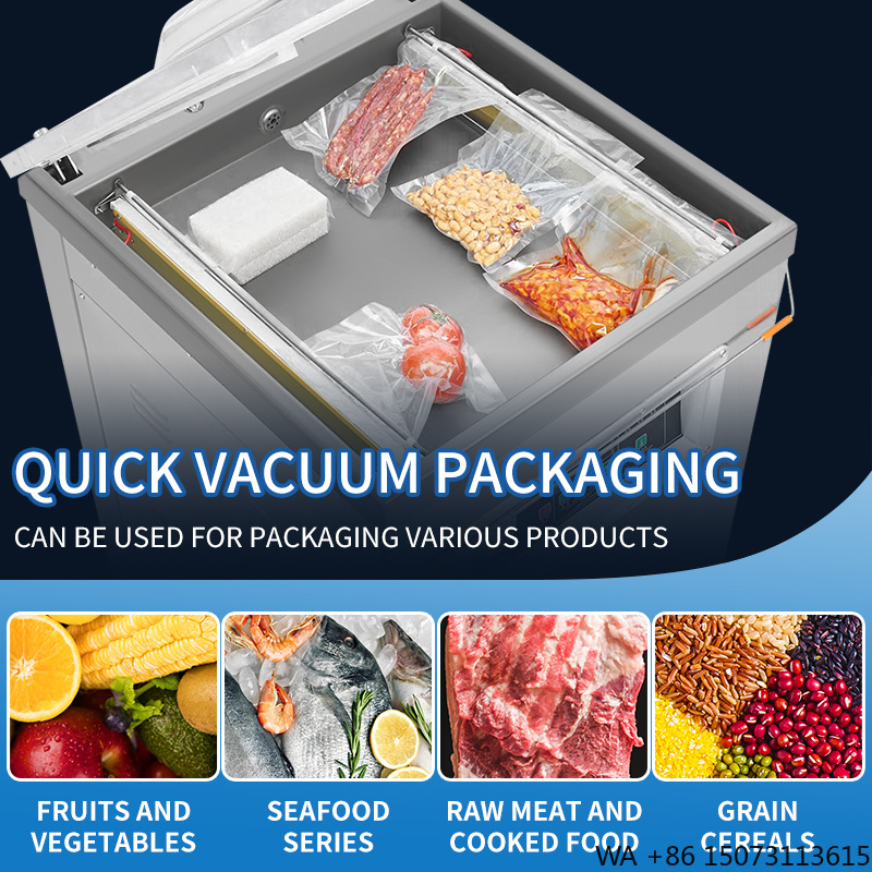 DZ-500  Vertical Single Chambe - Meal Prep Food ulasan dan harga
