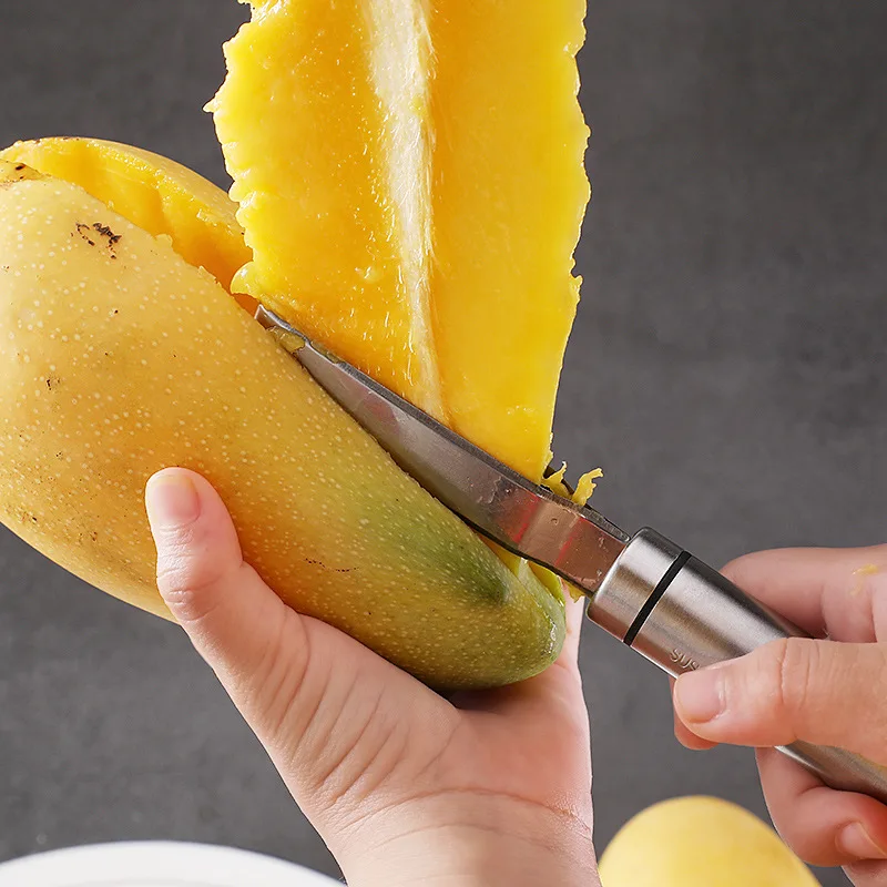 Mango Slicer peeler Mango Spli - Mango Splitter Tool ulasan dan harga